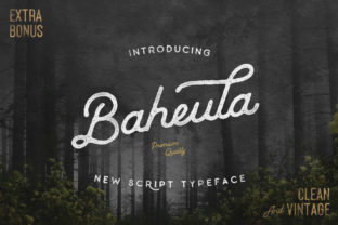 Baheula: A Vintage Handwritten Font for Business