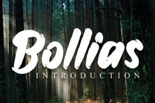 Bollias: A Handwritten Font for Business