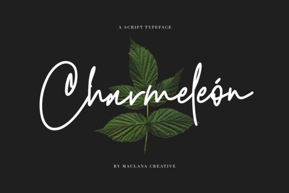 Charmeleon: A Magical Handwritten Font