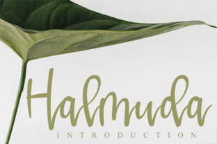 Halmuda: A Whimsical Font for Business Branding